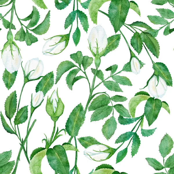 水彩画手绘无缝图案,花朵野玫瑰叶枝.绿叶绿叶，白色，蓝色，狗草背景。壁纸织物的自然典雅维多利亚式设计. — 图库照片