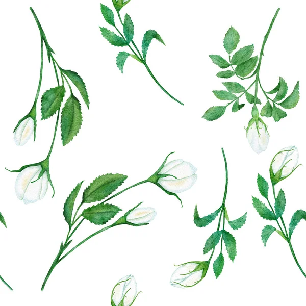 Suluboya el, çiçekli yabani gül yapraklarıyla kusursuz desenler çizmiş. Yeşil yaprak yeşili, beyaz dogrose parmak izi arka planı. Duvar kağıdı tekstili için doğal zarif Viktorya dönemi tasarımı. — Stok fotoğraf