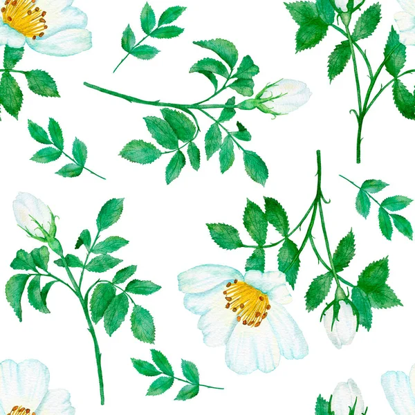 Aquarelle dessin à la main motif sans couture avec des fleurs florales sauvages roses feuilles branches. Feuille verte verdure blanc bleu dogrose impression fond. Design victorien élégant naturel pour papier peint textile. — Photo