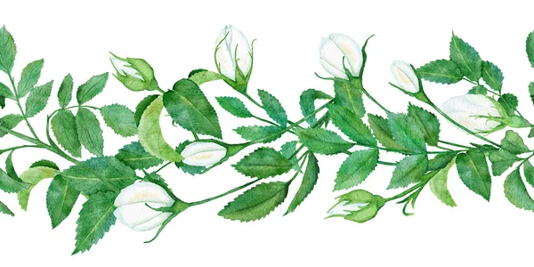 Υδατογραφία χέρι σχεδιάζεται απρόσκοπτη οριζόντια περίγραμμα με λευκά αγριολούλουδα πράσινα φύλλα τριαντάφυλλο. Κομψό πλαίσιο floral για σχεδιασμό πρόσκλησης γάμου, ύφασμα. Φυσικό φυτό της φύσης — Φωτογραφία Αρχείου