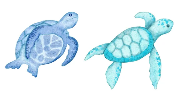 Akvarel Ilustrace Želvy Želvy Modrých Tyrkysově Fialových Barvách Oceán Moře — Stock fotografie