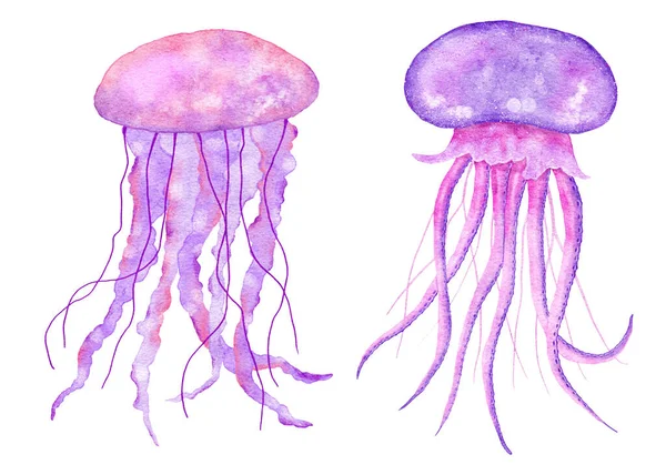 Watercolor Illustration Jellyfish Blue Turquoise Purple Colors Ocean Sea Underwater — Stock Photo, Image