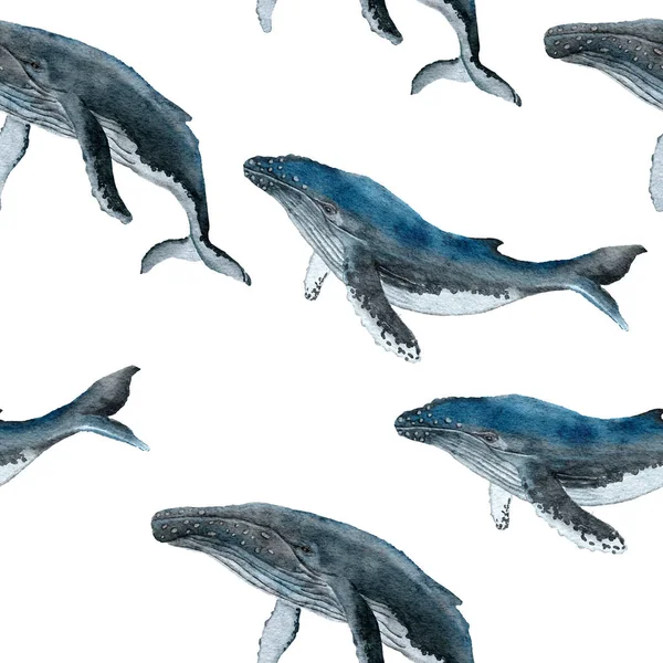 ブルーのクジラと手描き水彩シームレスパターン 海の海洋動物 海洋水中絶滅危惧哺乳類種 海のプリントの下で ファブリック保育園の装飾のための青灰色のイラスト — ストック写真