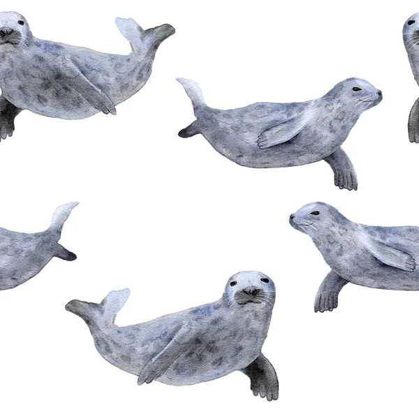 手描きの水彩のシームレスなパターンシール 海の海洋動物 海洋水中絶滅危惧哺乳類種 海のプリントの下で ファブリック保育園の装飾のための青灰色のイラスト — ストック写真