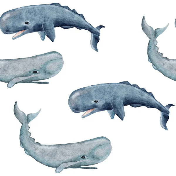 Hand Drawn Watercolor Seamless Pattern Sperm Whale Sea Ocean Marine — Stockfoto