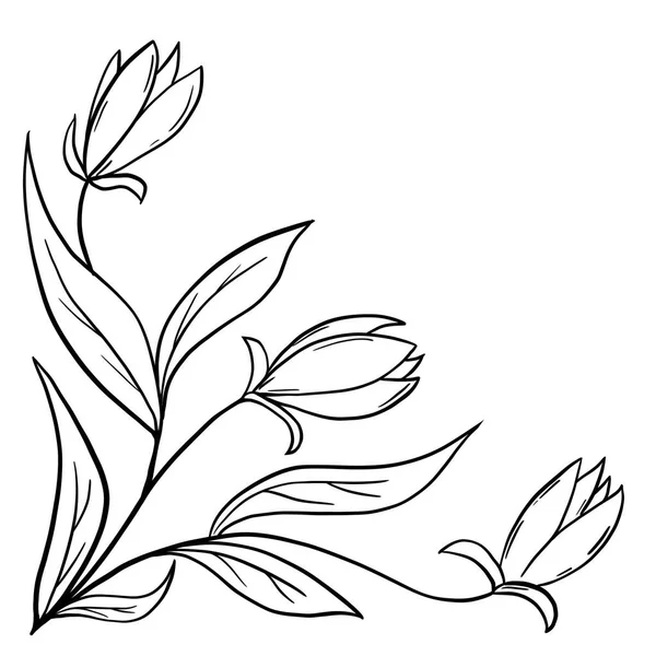 Illustrazione Foglie Fiori Floreali Disegnate Mano Bianco Nero Elegante Ornamento — Foto Stock