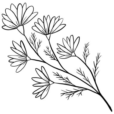 El çizimi çiçek yaprakları illüstrasyon, siyah beyaz zarif düğün süsü, Çizgi sanatı minimalizmi dövme stili tasarım yaz mevsimi doğa yaprağı çiçeği