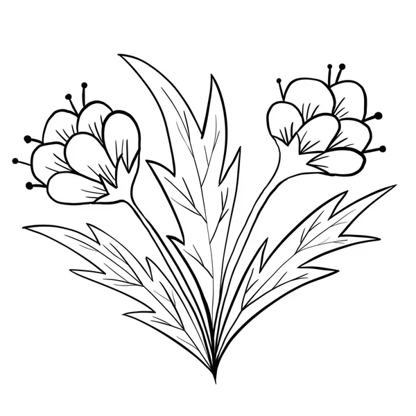 Ručně Kreslené Květinové Listy Ilustrace Černá Bílá Elegantní Svatební Ornament — Stock fotografie
