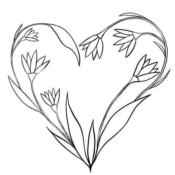 Ręcznie Rysowane Kwiaty Liście Ilustracja Serce Miłość Walentynki Czarny Biały — Zdjęcie stockowe