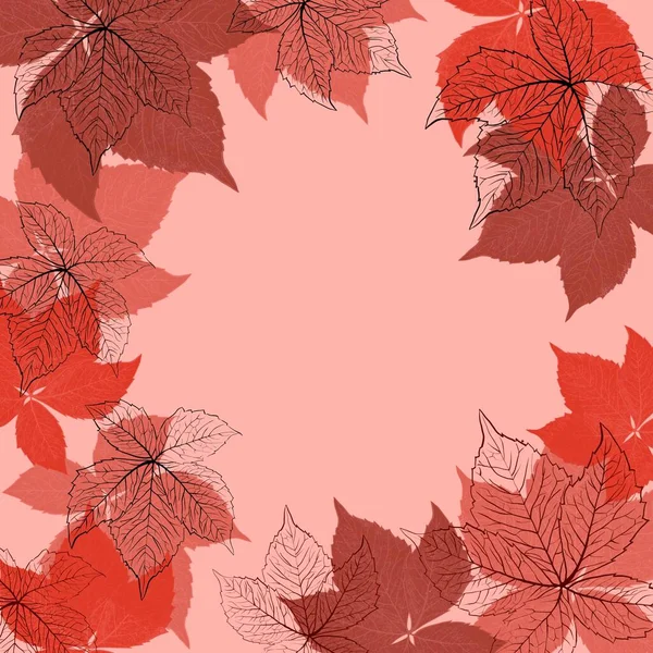 Hand Drawn Square Frame Background Fall Autumn Vine Grale Leaves — Stockfoto