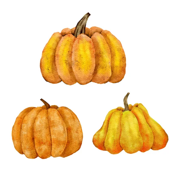 Watercolor Hand Drawn Illustrations Orange Yellow Pumpkins Fall Autumn Organic — Stockfoto