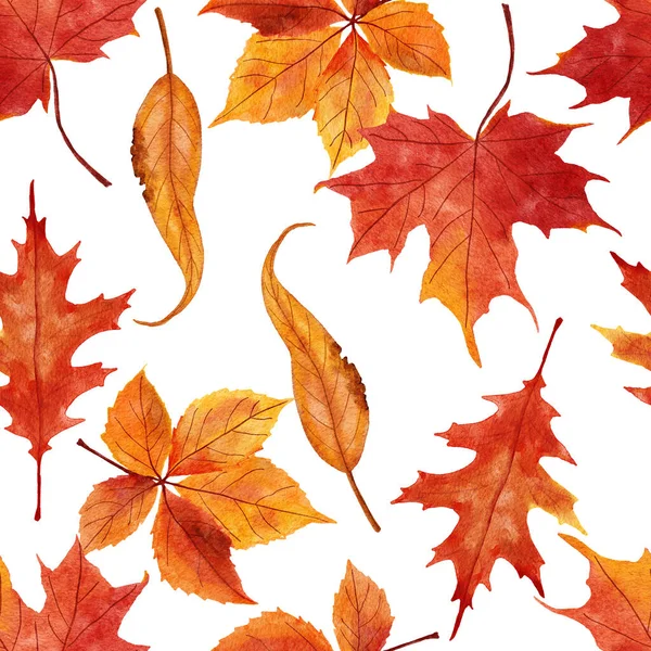 Watercolor Hand Drawn Seamless Pattern Red Orange Yellow Fall Autumn — Stock Fotó