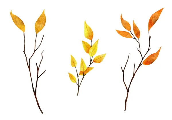 Watercolor Hand Drawn Illustration Thin Tree Branches Twigs Yellow Orange — Stockfoto