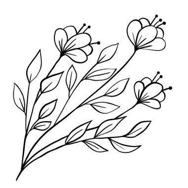 Hand drawn floral flower leaves illustration, black white elegant wedding ornament, Line art minimalism tattoo style design summer spring nature branch foliage blossom
