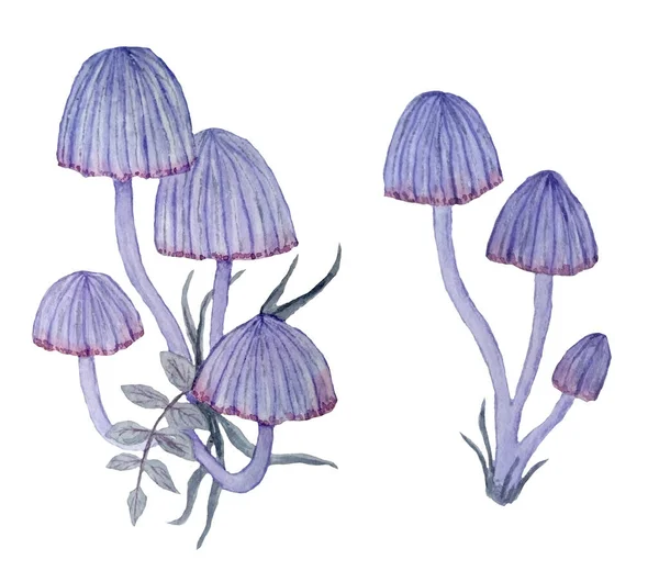 Watercolor Hand Drawn Illustration Poisonous Forest Wood Toadstools Mushrooms Purple — ストック写真