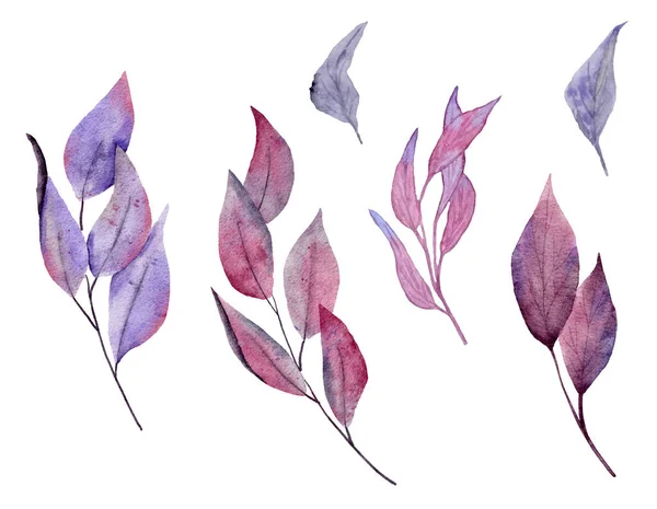 Watercolor Hand Drawn Illustration Purple Pink Dark Leaves Leaf Forest — Φωτογραφία Αρχείου