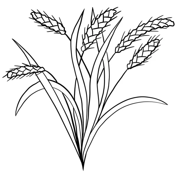 Wheat Bread Harvest Baking Bakery Concept Floral Illustration Long Leaves — ストック写真