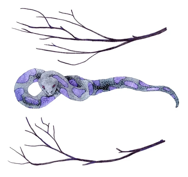 Watercolor Hand Drawn Illsutration Scary Purple Snake Two Black Tree — 图库照片