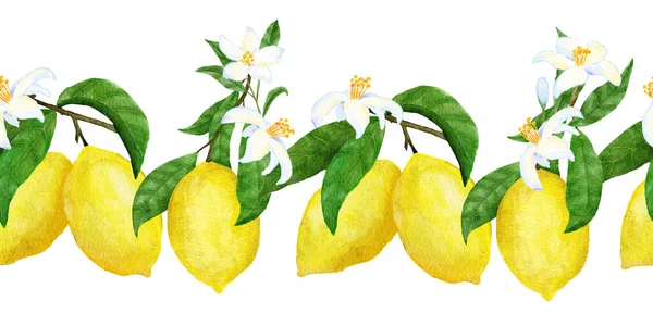 Hand Drawn Watercolor Seamless Border Yellow Citrus Lemons Bright Summer —  Fotos de Stock