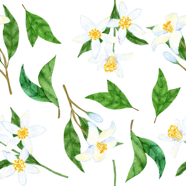 Υδατογραφία Χωρίς Ραφή Σχέδιο Στο Χέρι Λευκά Άνθη Λεμονιού Εσπεριδοειδών — Φωτογραφία Αρχείου