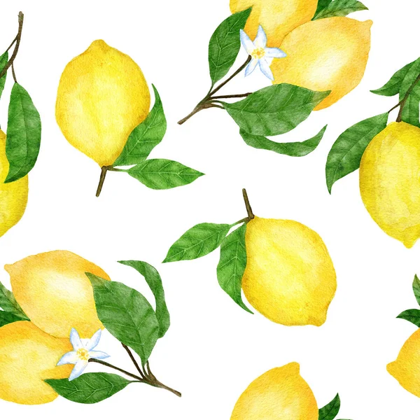 Watercolor Hand Drawn Seamless Pattern Lemon Citrus Fruit Summer Bright —  Fotos de Stock