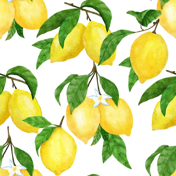 Watercolor Hand Drawn Seamless Pattern Lemon Citrus Fruit Summer Bright —  Fotos de Stock