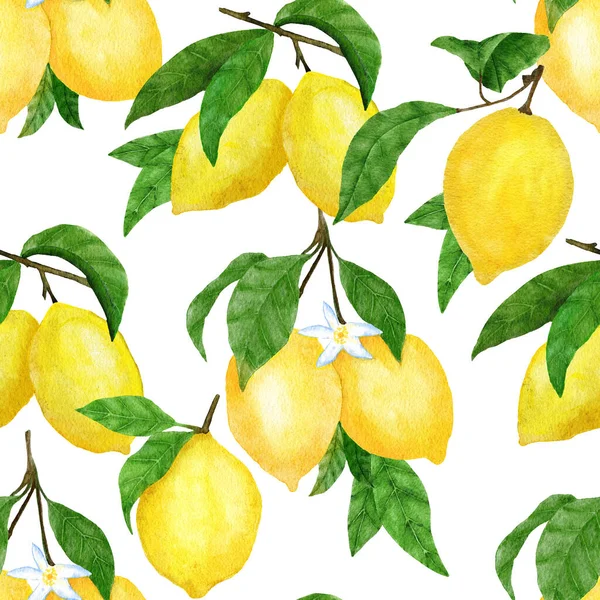Watercolor hand drawn seamless pattern with lemon citrus fruit. Summer bright organic sweet tasty food botanic print. Harvest tree ornament textile