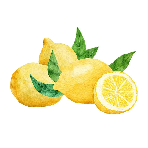 Watercolor Hand Drawn Illustration Yellow Cut Slice Lemons Green Leaves —  Fotos de Stock