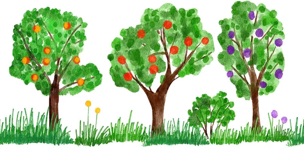 Watercolor Hand Drawn Seamless Border Illustration Orchard Fruit Trees Farm — 스톡 사진