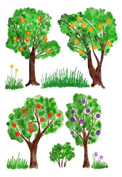 Watercolor Hand Drawn Illustration Orchard Fruit Trees Farm Harvest Green —  Fotos de Stock