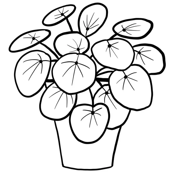 Chinese Money Plant Pilea Pot Black Line Outline Cartoon Style — 图库照片