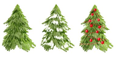 Watercolor hand drawn illustration of Christmas tree. Winter new year evergreen fir pine spruce plant. December season celebration design, holiday party print for invitations cards, isolated on white