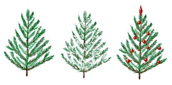 Watercolor Hand Drawn Illustration Christmas Tree Winter New Year Evergreen — Stok fotoğraf