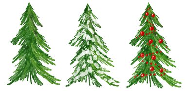 Watercolor hand drawn illustration of Christmas tree. Winter new year evergreen fir pine spruce plant. December season celebration design, holiday party print for invitations cards, isolated on white
