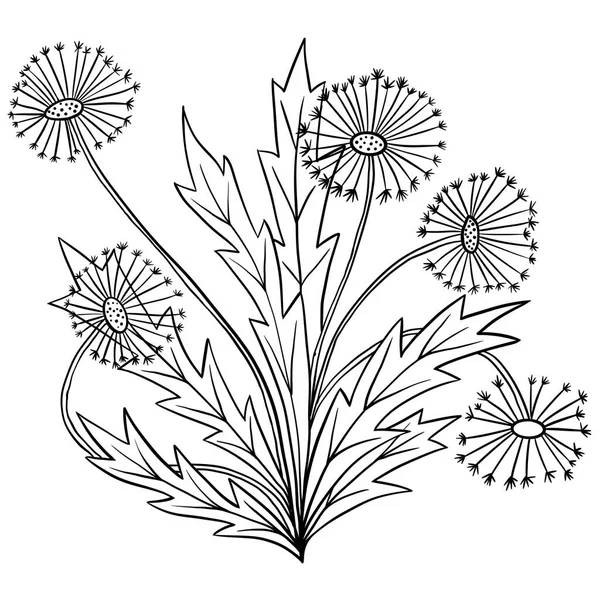 葉とタンポポの花の手描きイラスト 野生の牧草地の庭の植物 ミニマリストブラックラインスケッチ図面 ブラックラインアウトラインスタイルで夏の植物デザイン — ストック写真