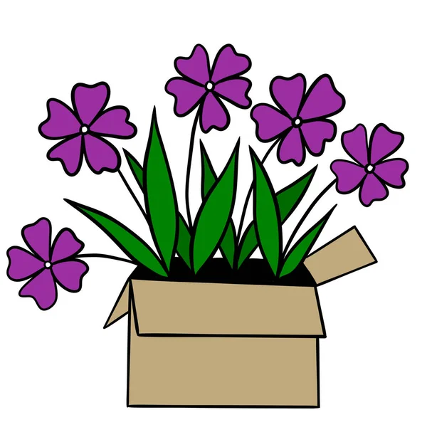 Hand drawn illustration of purple flowers growing in beige transport package box crate. Flower delivery sale busness, garden supplies, elegant minimalist spring summer decor, organic gardening