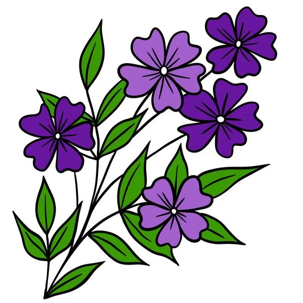 Ręcznie Rysowana Ilustracja Fioletowych Kwiatów Liści Gałęzi Czarnym Obrysie Linii — Zdjęcie stockowe