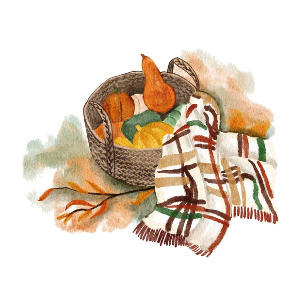 Hand drawn watercolor illustration of pumkins in basket with plaid blanket, autumn fall picnic. Harvest thanksgiving card poster invitation, forest wood garden design, orange brown green background