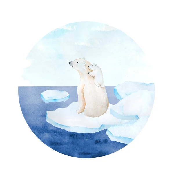 Акварельна Рука Намальована Ілюстрація Білого Ведмедя Дитяча Дитина Тваринного Походження — стокове фото