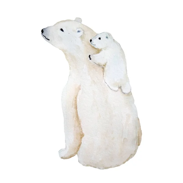 Watercolor Mão Desenhada Ilustração Urso Branco Polar Criança Filhote Bebê — Fotografia de Stock