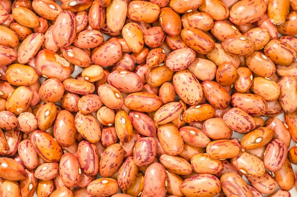 Closeup of red bean, background - stock photo — Stock Photo, Image