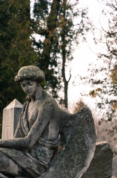 Stará socha anděla na hřbitov — Stock fotografie