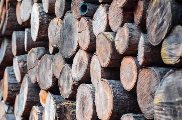 Stock of woodpile seen from 45 degree angle — Stock Photo, Image