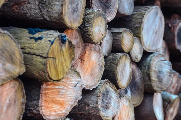 Stock of woodpile seen from 45 degree angle — Stock Photo, Image