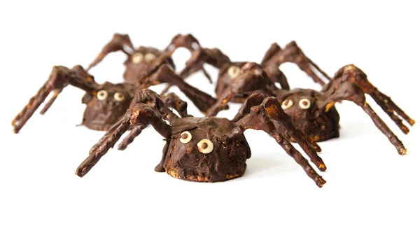 Arañas caseras de chocolate aisladas sobre fondo blanco —  Fotos de Stock