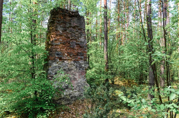 Remanescentes de edifícios antigos e destruídos na floresta — Fotografia de Stock