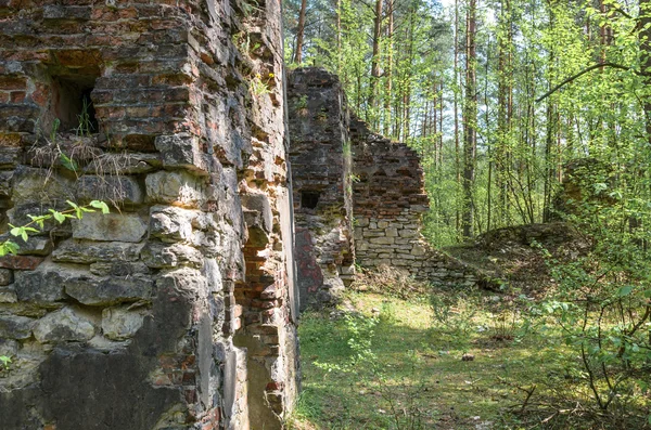 Zbytky starých a zničené budovy v lese — Stock fotografie