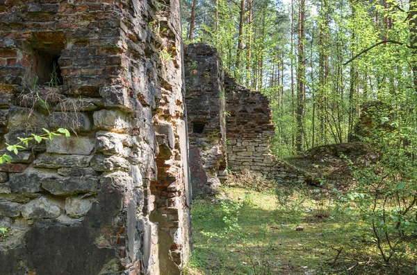 eski kalıntıları ve ormandaki yıkılan binalar