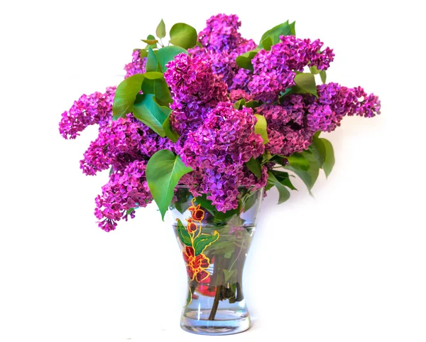 Lila Flieder (Syringa) in der Vase isoliert auf weißem Hintergrund — Stockfoto