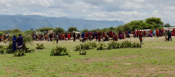 Arusha, tansania - 22. März: Massai-Stamm kauft Kühe auf Vieh — Stockfoto